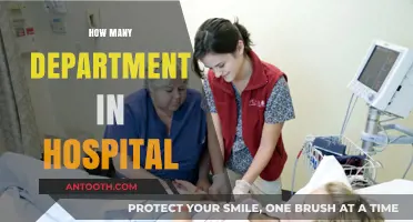 Exploring the Diverse Departments Within a Modern Hospital Structure