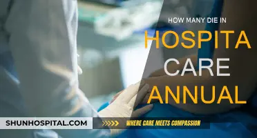Hospital Care: Annual Death Count