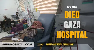 Gaza Hospital Tragedy: Uncovering the Devastating Death Toll