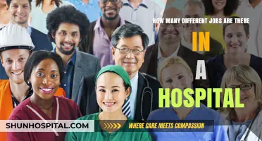 Exploring the Diverse Roles and Careers Within a Hospital Setting