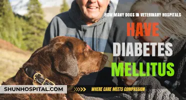 Diabetes Mellitus in Canines: Prevalence in Veterinary Hospitals