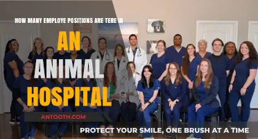 Exploring Staff Roles and Positions in an Animal Hospital
