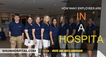 Hospitals: Staffing Numbers and Patient Care