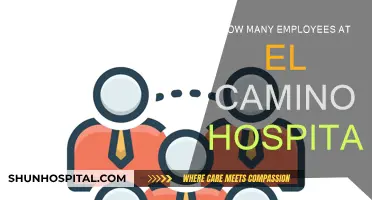 Staffing Numbers at El Camino Hospital: An Overview