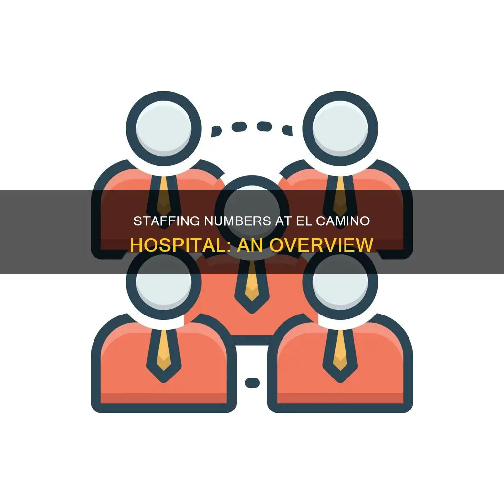 how many employees at el camino hospital