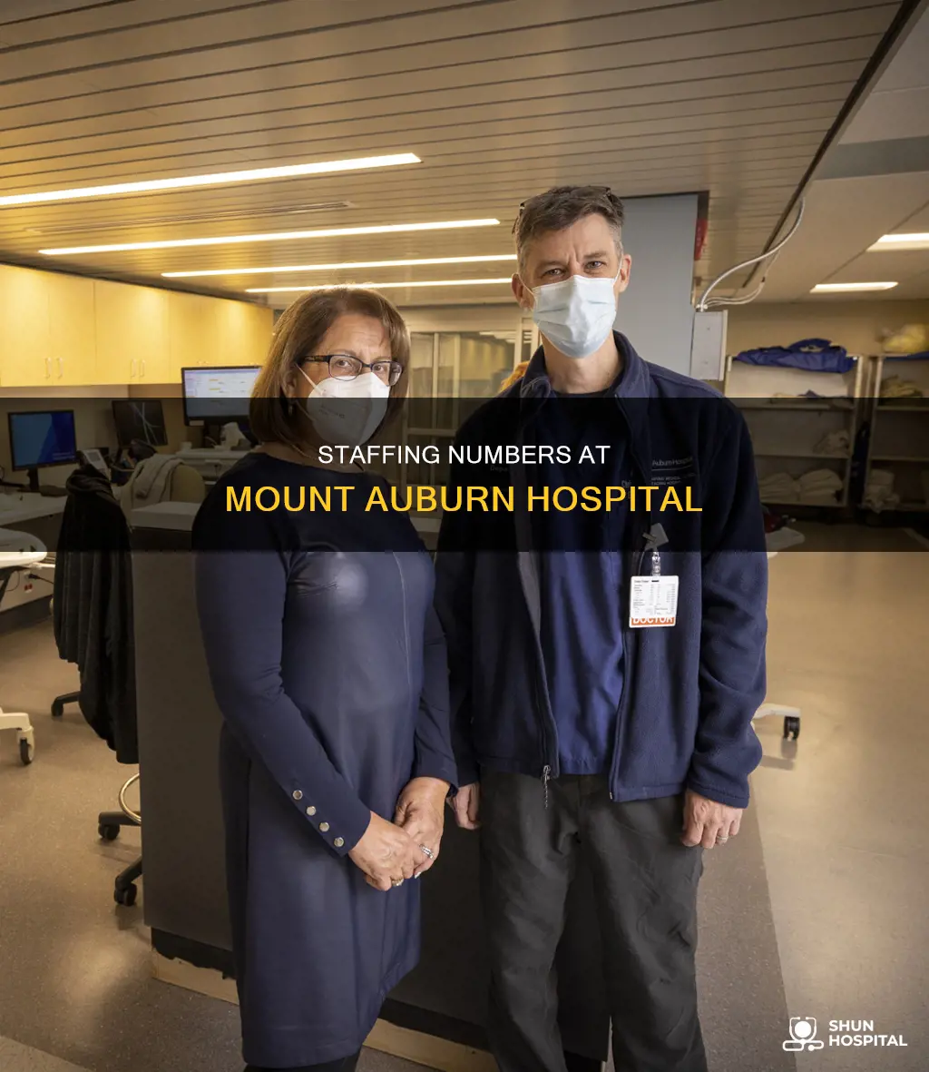 how many employees at mount auburn hospital