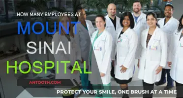 Mount Sinai Hospital: A Large Team of Healthcare Heroes