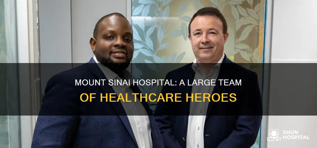 how many employees at mount sinai hospital