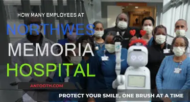 Staffing Levels at Northwestern Memorial Hospital: How Many Employees?