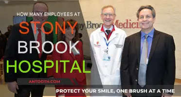 Stony Brook Hospital: Staffing Numbers and Insights