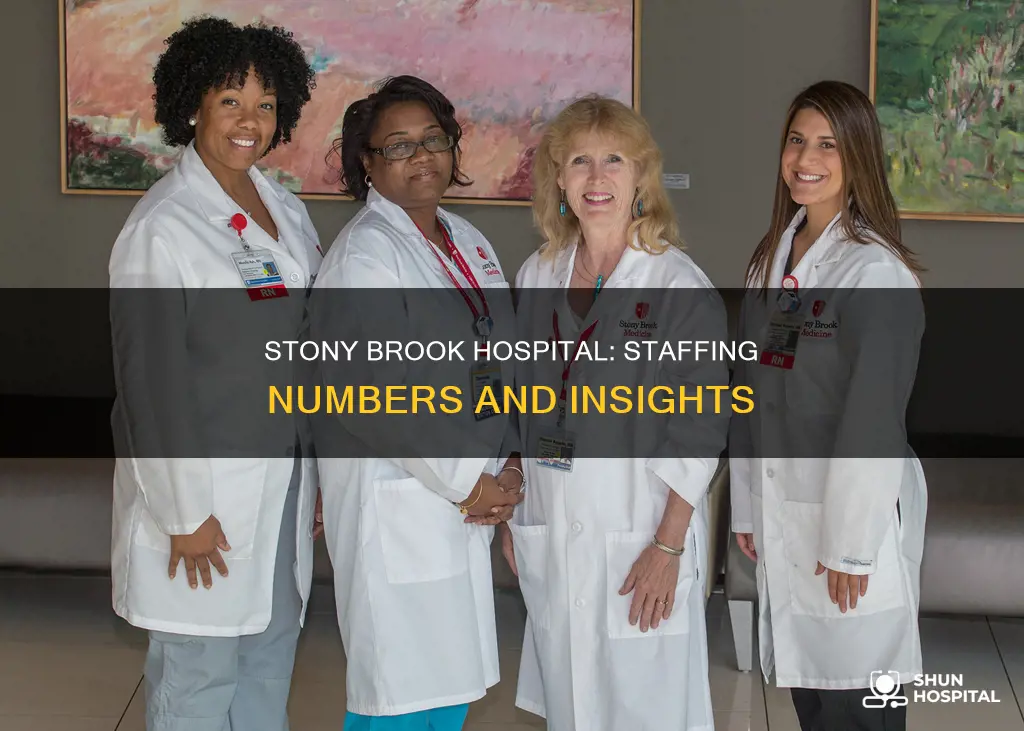 how many employees at stony brook hospital