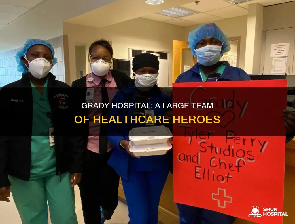 how many employees does grady hospital have