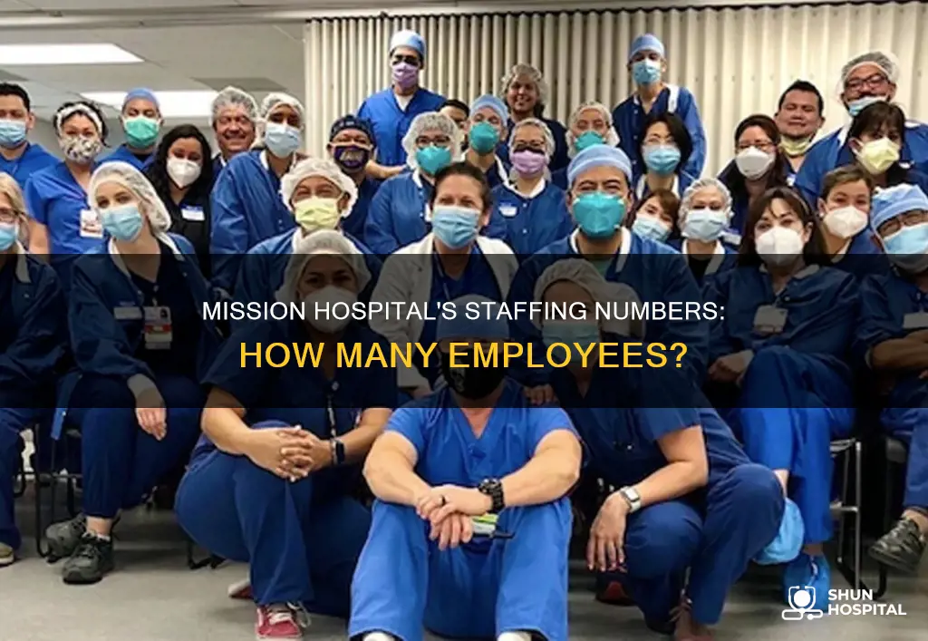 how many employees does mission hospital have