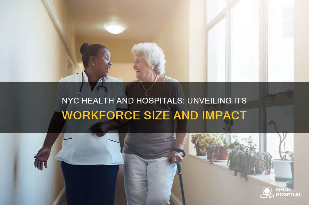 how many employees does nyc health and hospitals have