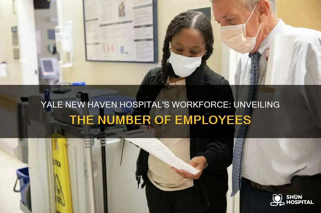 how many employees does yale new haven hospital have