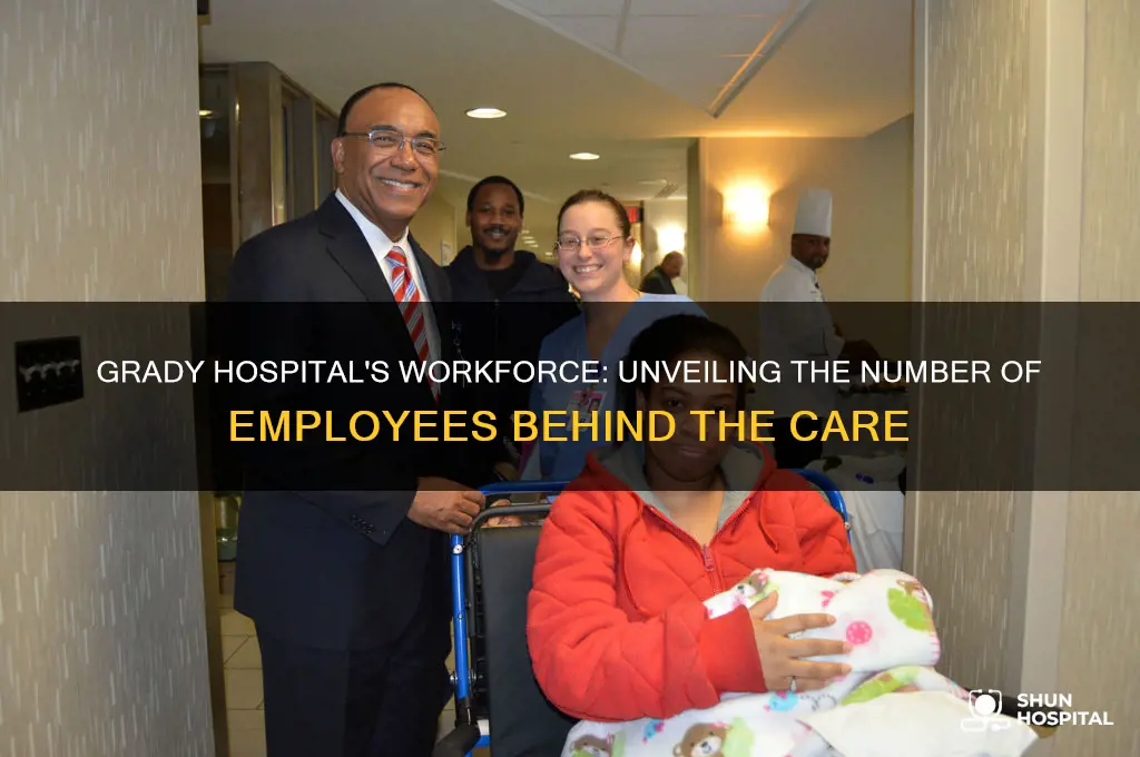 how many employees grady hospita