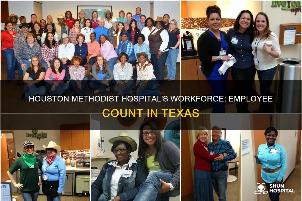 how many employees in houston methodist hospital in texas