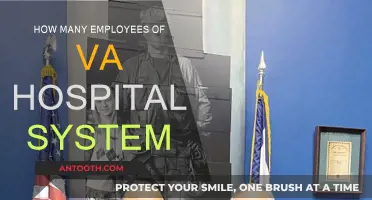 The VA Hospital System: A Large, Dedicated Staff