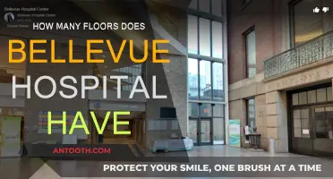 Exploring the Expansive Floors of Bellevue Hospital