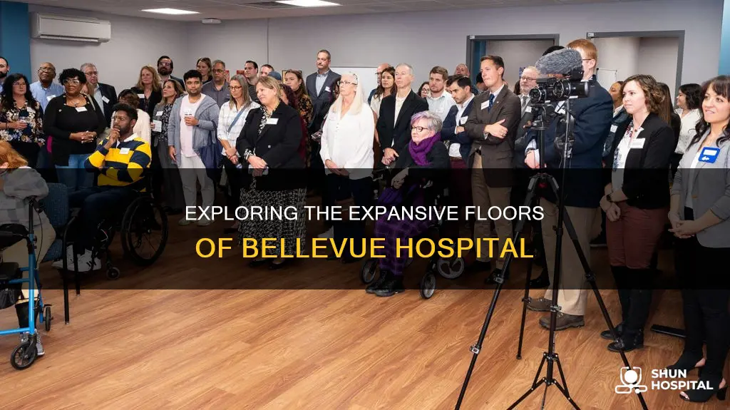 how many floors does bellevue hospital have