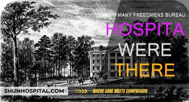 The Freedmen's Hospitals: A Historical Overview