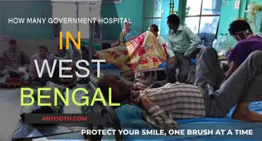 West Bengal's Government Hospitals: A Comprehensive Count