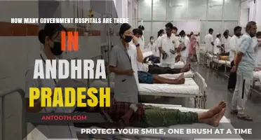 Exploring Andhra Pradesh's Public Healthcare: Counting Government Hospitals
