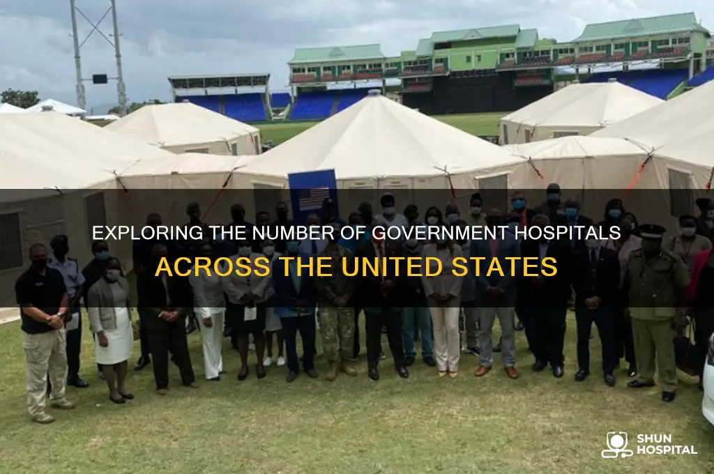 how many government hospitals are there in the united states