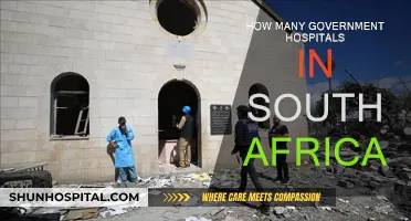 South Africa's Public Healthcare: Government Hospitals Count