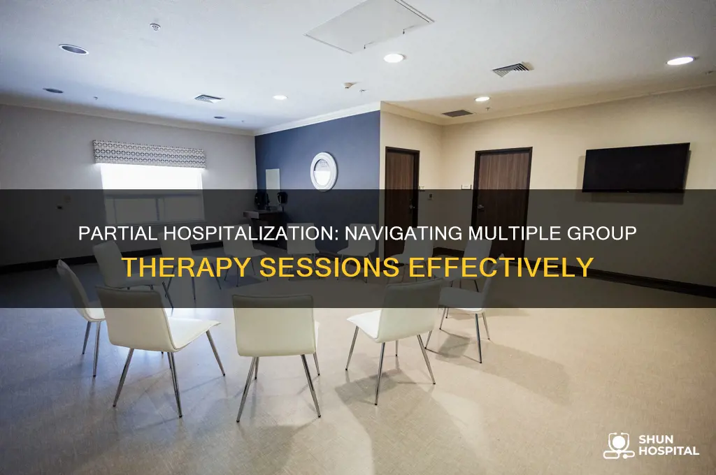 how many groups do you attend with partial hospitalization experiences