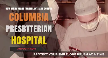Columbia Presbyterian Hospital's Heart Transplant Success Rates and Statistics
