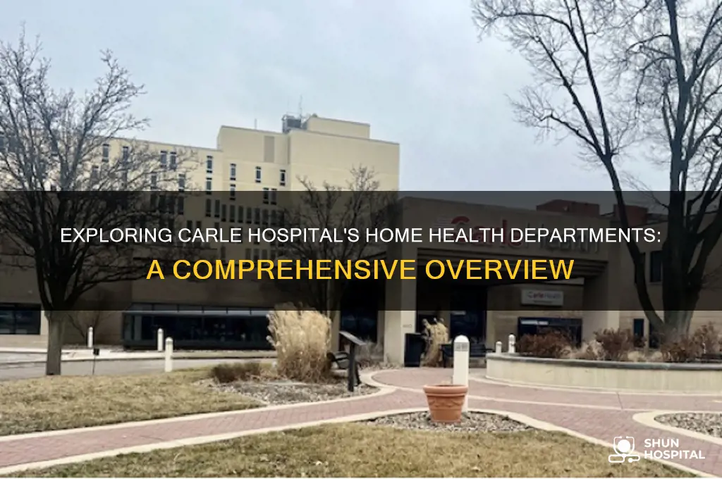 how many home health departments does carle hospital have