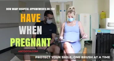 Pregnancy Check-Ups: Understanding Your Hospital Appointment Schedule