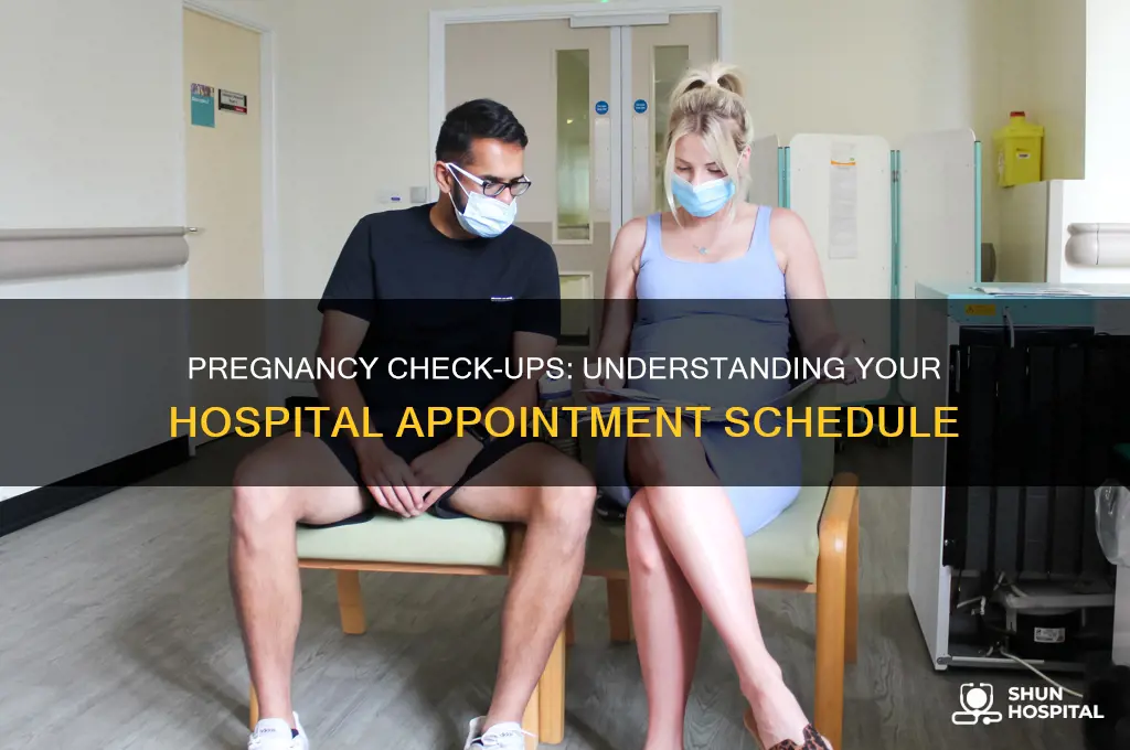 how many hospital appointments do you have when pregnant