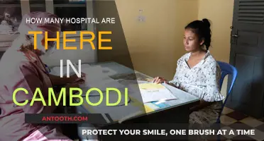 Healthcare in Cambodia: Hospitals Count and Availability