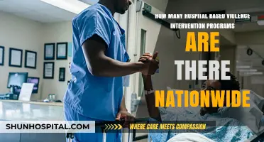 Nationwide Count: Hospital-Based Violence Intervention Programs in the U.S