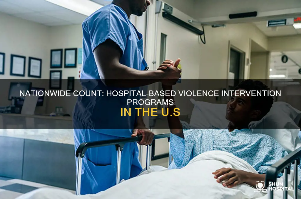 how many hospital based violence intervention programs are there nationwide