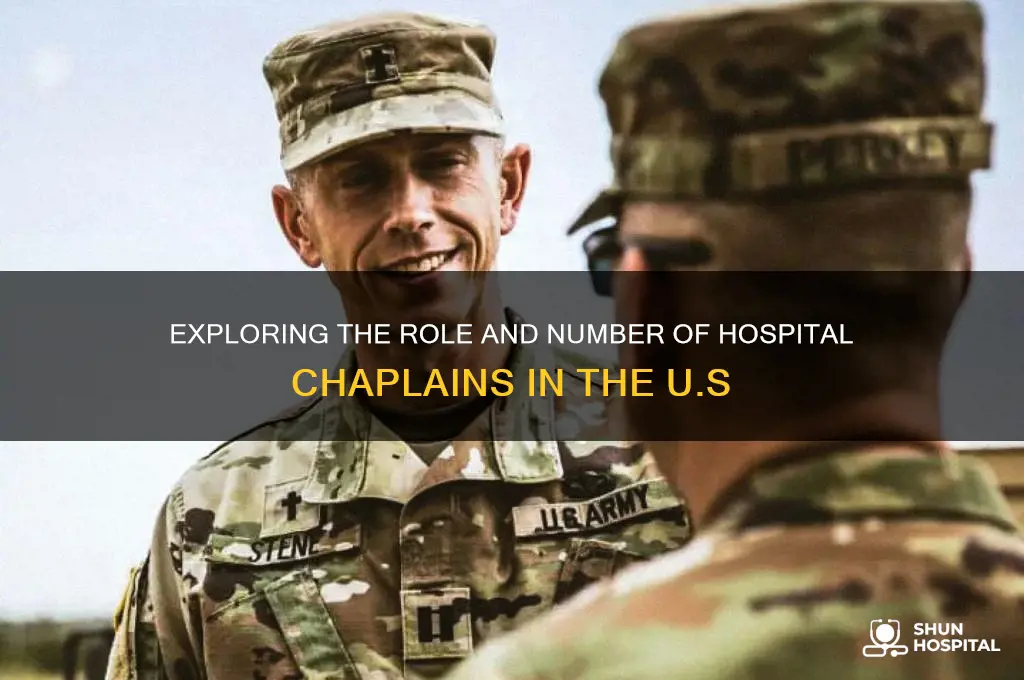 how many hospital chaplains exist in the united states