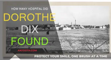 Dorothea Dix: Founding Hospitals, Changing Lives