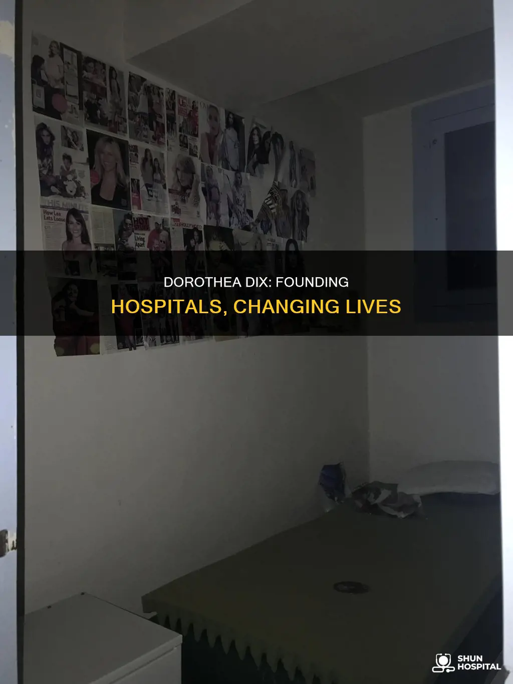 how many hospital did dorothea dix found