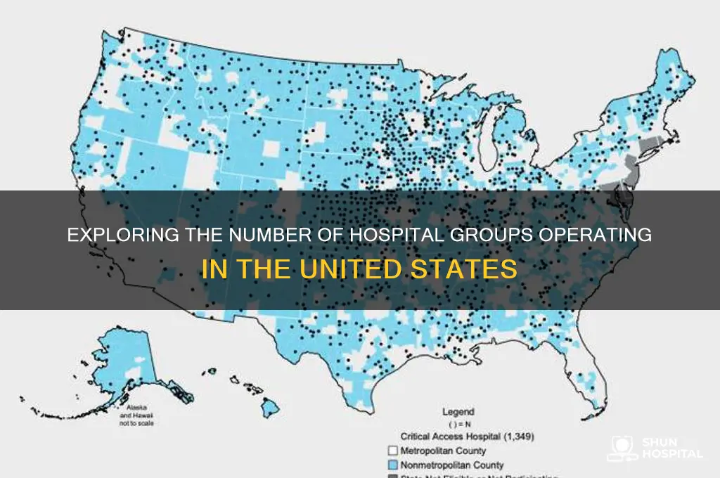 how many hospital groups are there in the us