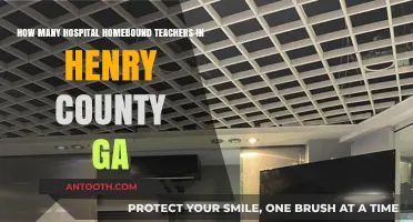 Exploring the Number of Hospital Homebound Teachers in Henry County, GA