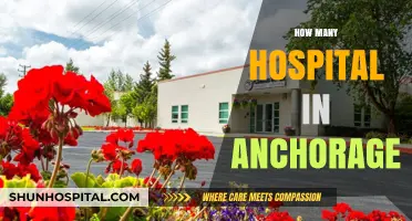 Exploring Anchorage's Healthcare: A Comprehensive Guide to Local Hospitals