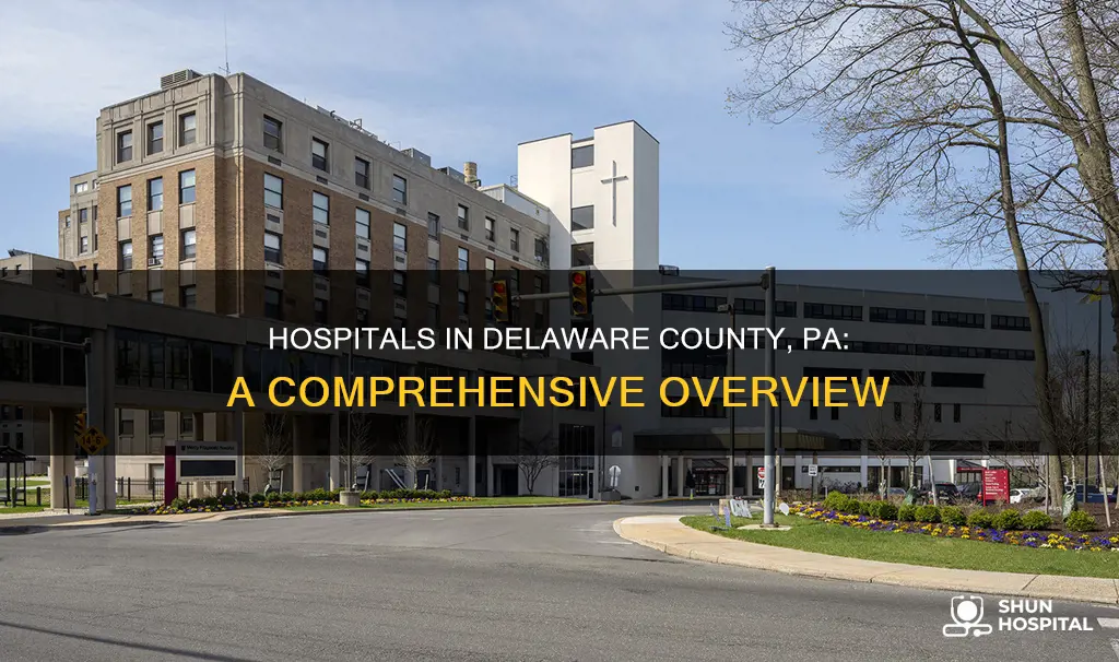 how many hospital in delaware county pa