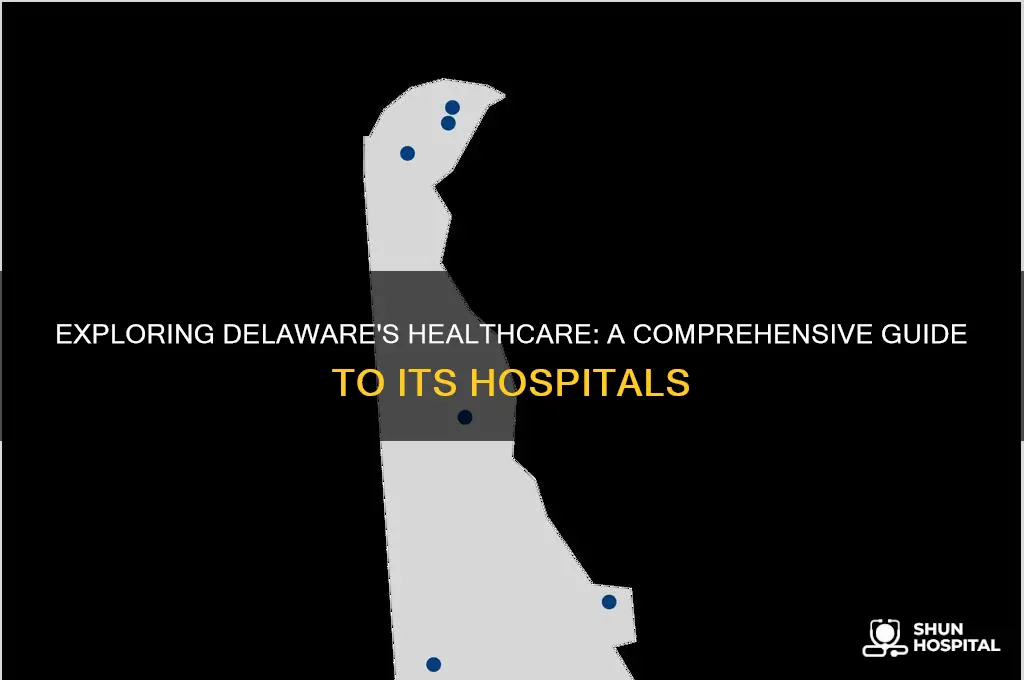 how many hospital in delaware