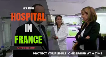 Exploring France's Healthcare: A Comprehensive Guide to Hospital Numbers