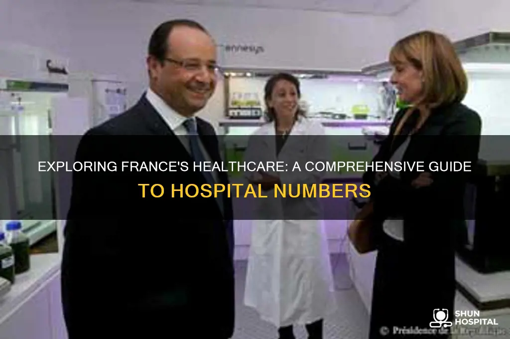 how many hospital in france