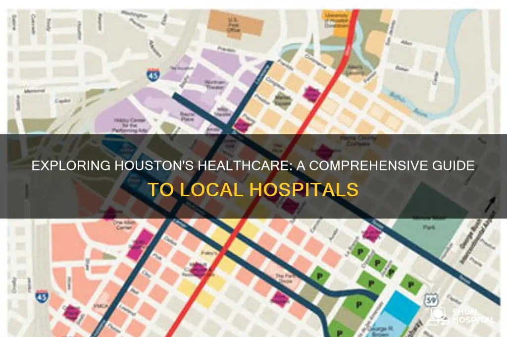 how many hospital in houston