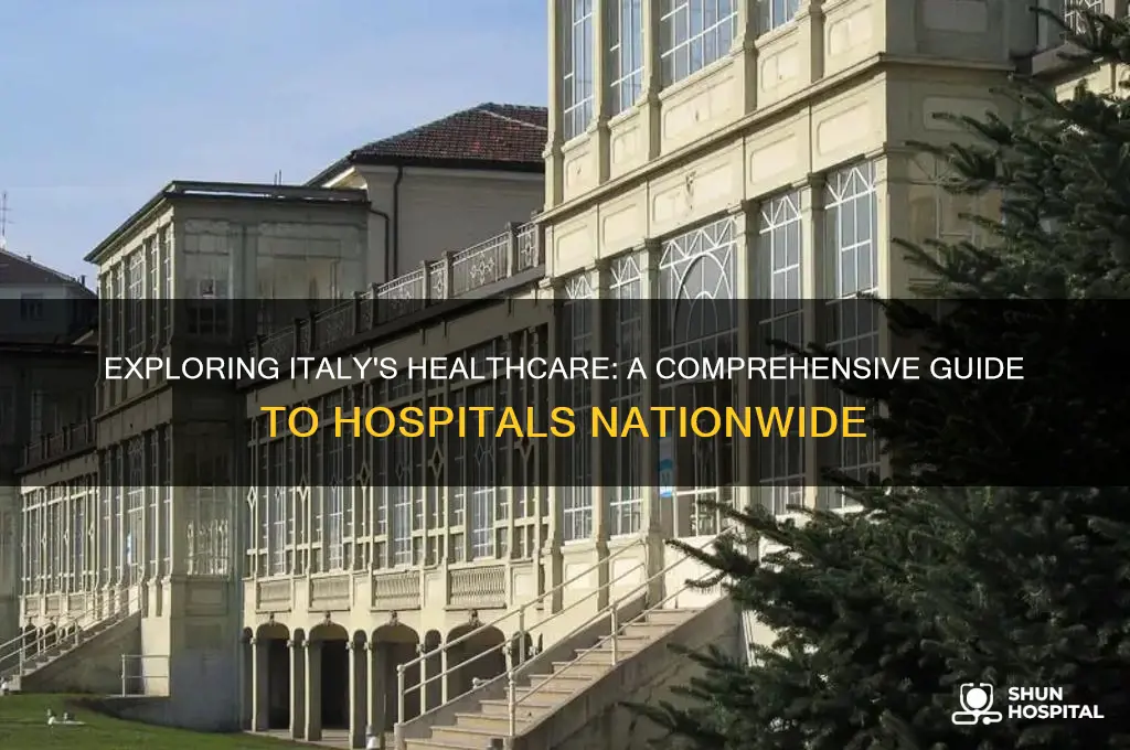 how many hospital in italy