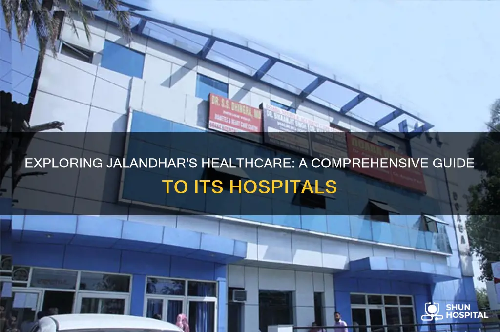 how many hospital in jalandhar